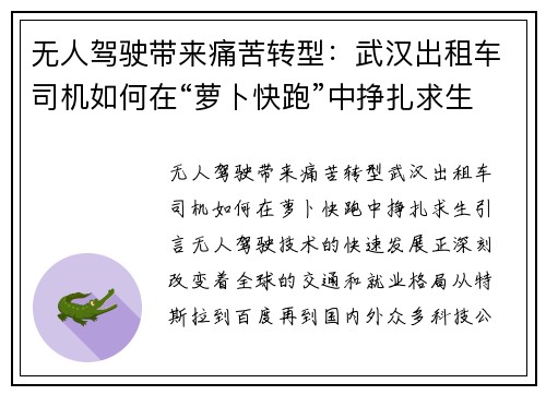 无人驾驶带来痛苦转型：武汉出租车司机如何在“萝卜快跑”中挣扎求生