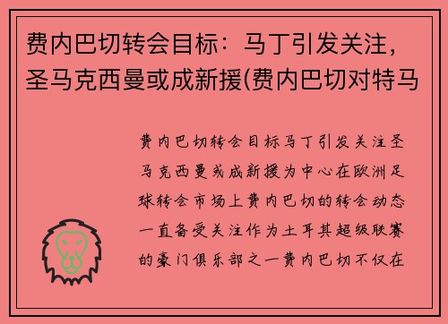 费内巴切转会目标：马丁引发关注，圣马克西曼或成新援(费内巴切对特马卡比)