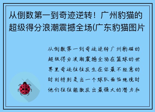 从倒数第一到奇迹逆转！广州豹猫的超级得分浪潮震撼全场(广东豹猫图片)