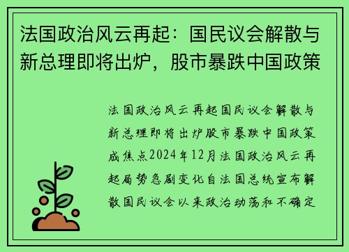 法国政治风云再起：国民议会解散与新总理即将出炉，股市暴跌中国政策成焦点
